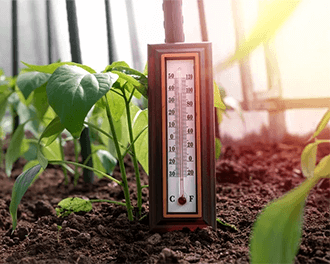 اهمیت کنترل دما و رطوبت در گلخانه ها و راه حل های آن